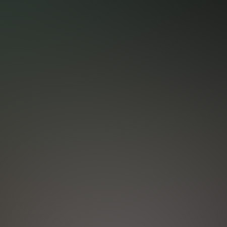 Image décorative Eugénie VTC Toulouse