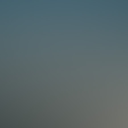 Toulouse – VTC Eugénie